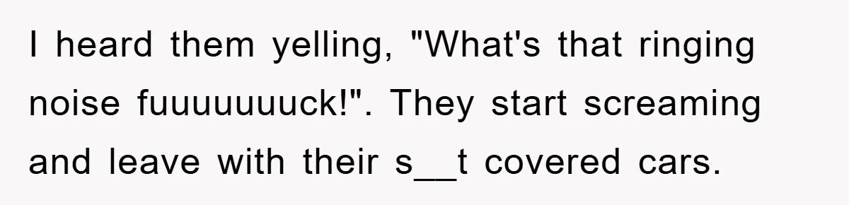 I heard them yelling, "What's that ringing noise fuuuuuuuck!". They start screaming and leave with their s__t covered cars.