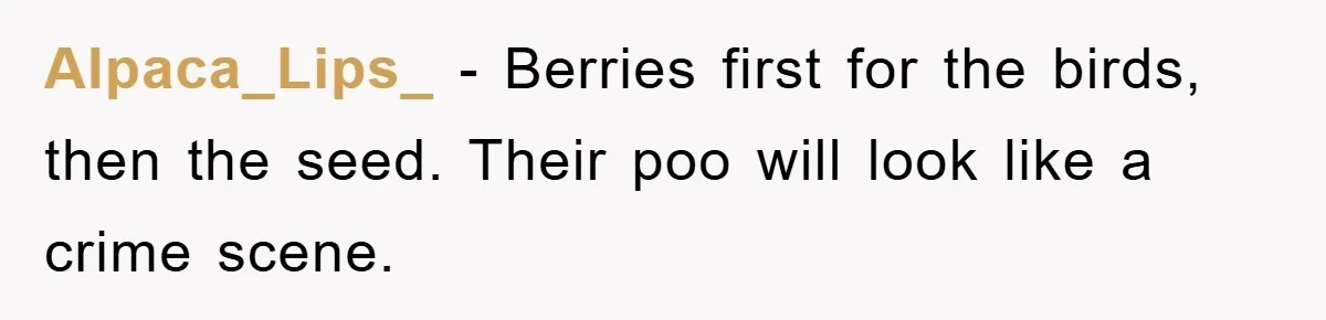 Alpaca_Lips_ − Berries first for the birds, then the seed. Their poo will look like a crime scene.