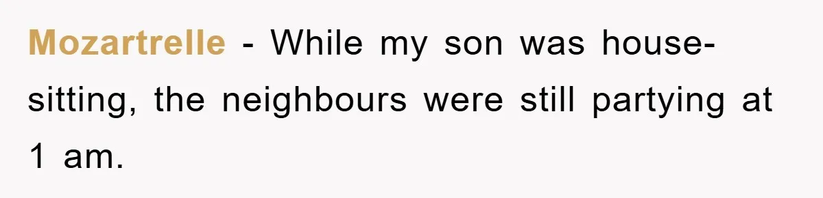 Mozartrelle − While my son was house-sitting, the neighbours were still partying at 1 am.