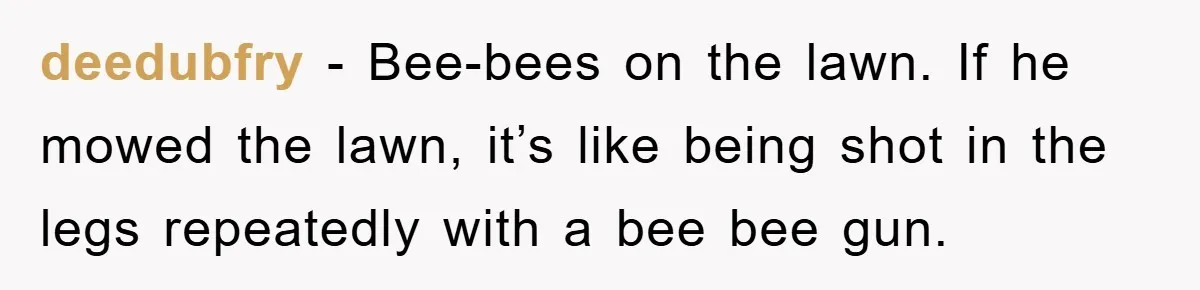 deedubfry − Bee-bees on the lawn. If he mowed the lawn, it’s like being shot in the legs repeatedly with a bee bee gun.