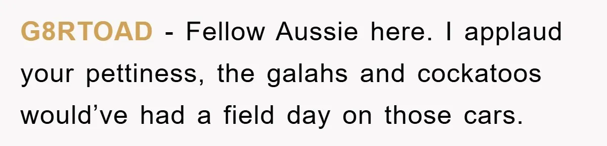 G8RTOAD − Fellow Aussie here. I applaud your pettiness, the galahs and cockatoos would’ve had a field day on those cars.