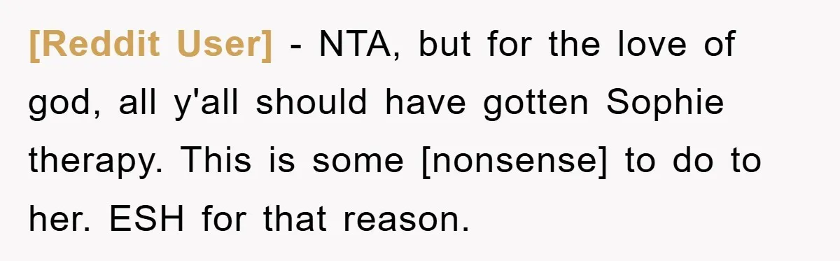 [Reddit User] - NTA, but for the love of god, all y'all should have gotten Sophie therapy. This is some [nonsense] to do to her. ESH for that reason.