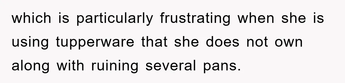 which is particularly frustrating when she is using tupperware that she does not own along with ruining several pans.