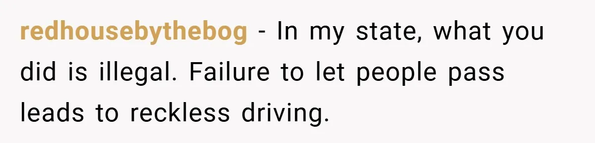 redhousebythebog − In my state, what you did is illegal. Failure to let people pass leads to reckless driving.