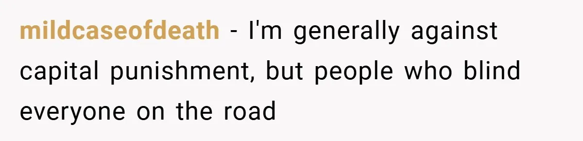 mildcaseofdeath − I'm generally against capital punishment, but people who blind everyone on the road