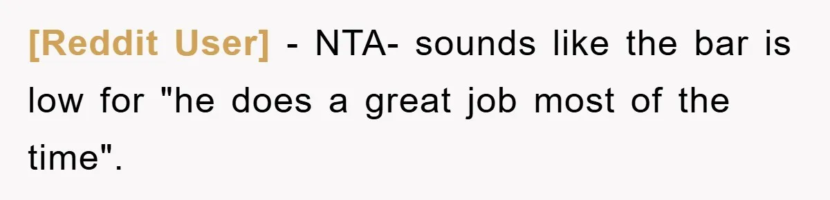[Reddit User] - NTA- sounds like the bar is low for "he does a great job most of the time".