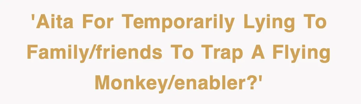 'AITA for temporarily lying to family/friends to trap a flying monkey/enabler?'