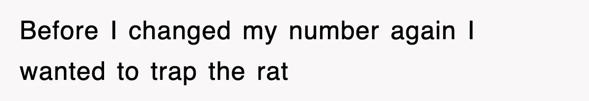 Before I changed my number again I wanted to trap the rat