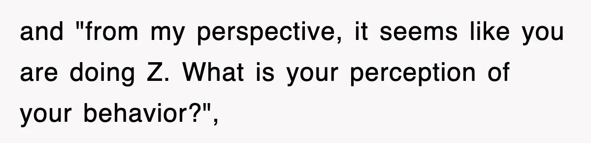 and "from my perspective, it seems like you are doing Z. What is your perception of your behavior?",