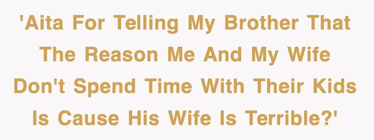 'AITA for telling my brother that the reason me and my wife don't spend time with their kids is cause his wife is terrible?'