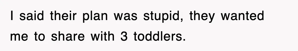 I said their plan was stupid, they wanted me to share with 3 toddlers.
