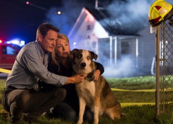 Mother-In-Law Sets Couple’s House On Fire After Learning Her Son Is Gay