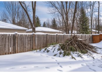 Woman Returns A Mountain Of Yard Waste After Neighbor Uses Her Fence As Storage