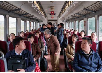 Older Woman Outsmarts Rude Passenger on a Packed Train