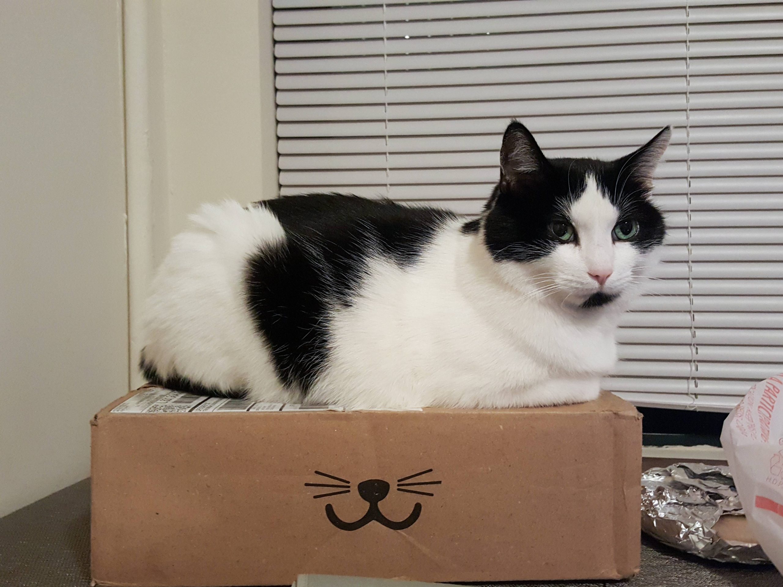 Man Gifts His Sister A Picture Of His Dog After She Gives Him A Tapestry Of Her Kids, Is He In The Wrong?