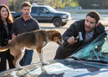 Dog Owner Confronts Stranger Who Smashed Her Car Window While “Saving” A Dog That Wasn’t In Danger