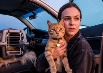She Runs A Feral Cat Rescue, But One Mistaken Neuter Turned The Town Against Her She Runs A Feral Cat Rescue, But One Mistaken Neuter Turned The Town Against Her