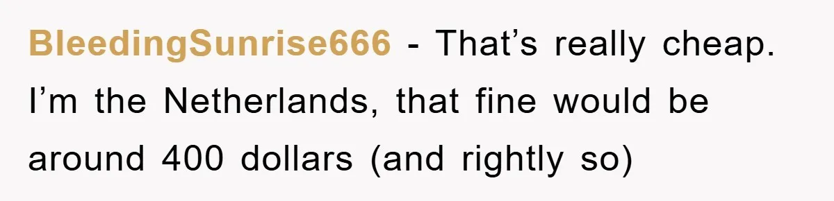 BleedingSunrise666 - That’s really cheap. I’m the Netherlands, that fine would be around 400 dollars (and rightly so)