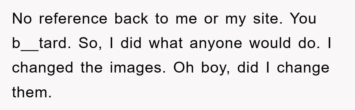 No reference back to me or my site. You b__tard. So, I did what anyone would do. I changed the images. Oh boy, did I change them.