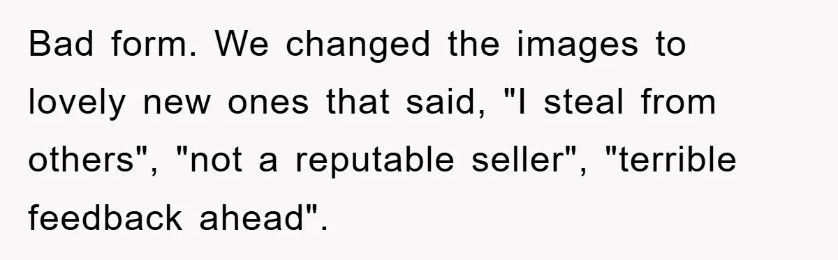 Bad form. We changed the images to lovely new ones that said, "I steal from others", "not a reputable seller", "terrible feedback ahead".