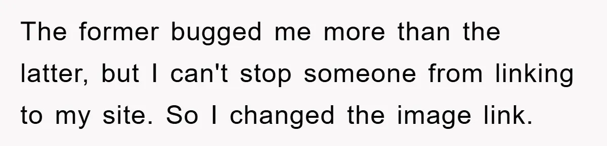 The former bugged me more than the latter, but I can't stop someone from linking to my site. So I changed the image link.