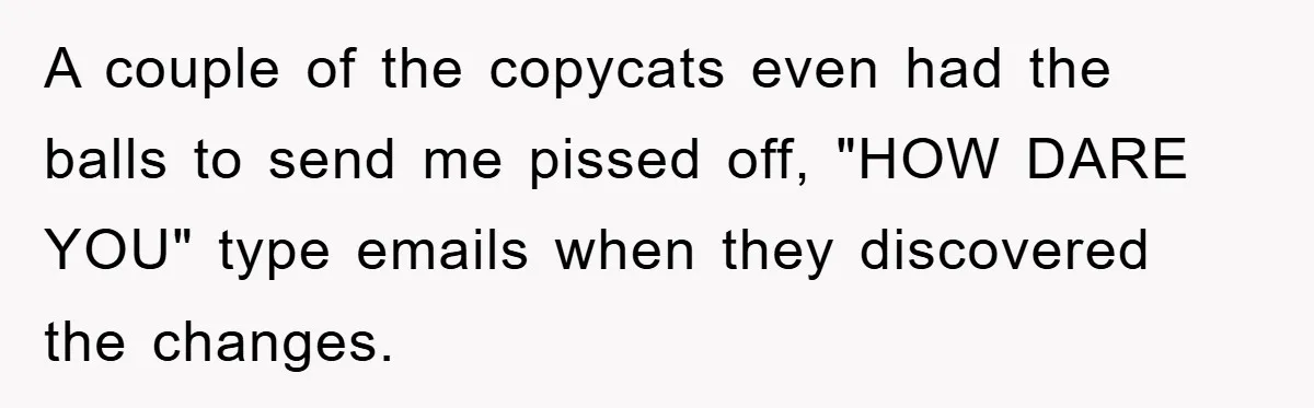 A couple of the copycats even had the balls to send me pissed off, "HOW DARE YOU" type emails when they discovered the changes.