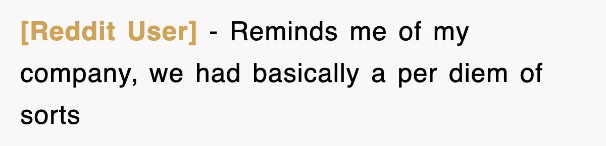 [Reddit User] − Reminds me of my company, we had basically a per diem of sorts