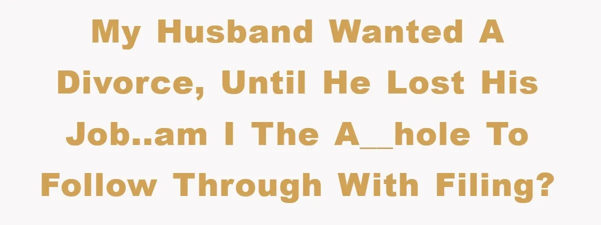 My husband wanted a divorce, until he lost his job..am I the a__hole to follow through with filing?
