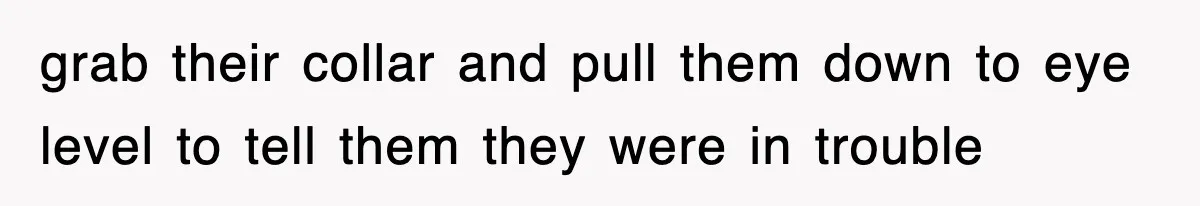 grab their collar and pull them down to eye level to tell them they were in trouble