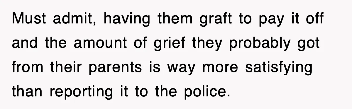 Must admit, having them graft to pay it off and the amount of grief they probably got from their parents is way more satisfying than reporting it to the police.