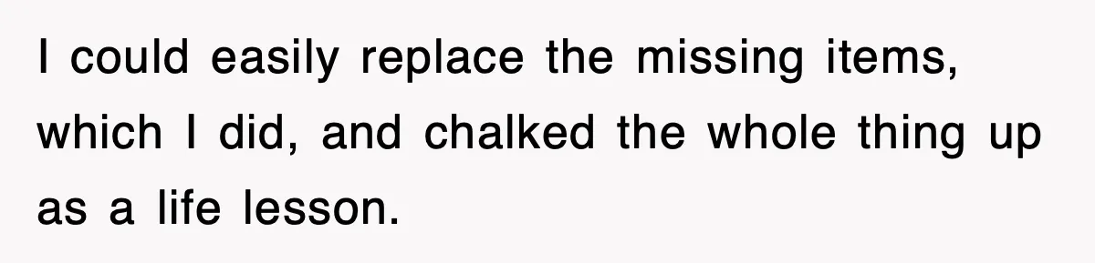 I could easily replace the missing items, which I did, and chalked the whole thing up as a life lesson.