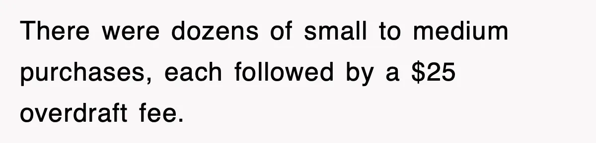 There were dozens of small to medium purchases, each followed by a $25 overdraft fee.