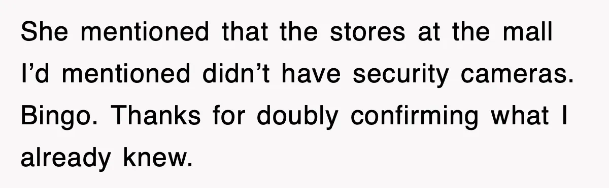 She mentioned that the stores at the mall I’d mentioned didn’t have security cameras. Bingo. Thanks for doubly confirming what I already knew.