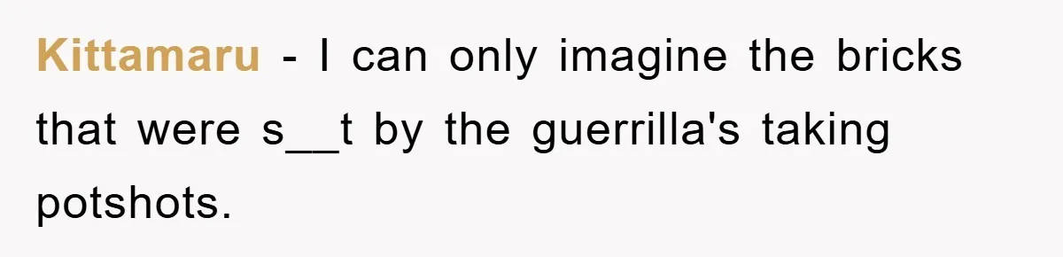 Kittamaru − I can only imagine the bricks that were s__t by the guerrilla's taking potshots.