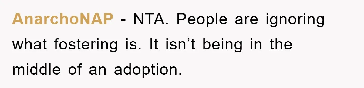 AnarchoNAP − NTA. People are ignoring what fostering is. It isn’t being in the middle of an adoption.