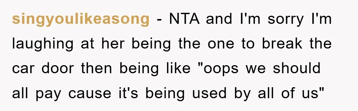 singyoulikeasong - NTA and I'm sorry I'm laughing at her being the one to break the car door then being like "oops we should all pay cause it's being used...