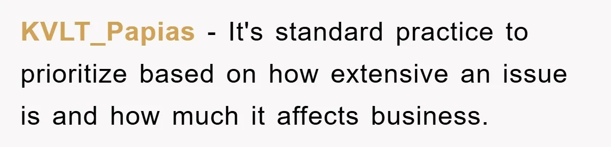 KVLT_Papias − It's standard practice to prioritize based on how extensive an issue is and how much it affects business.