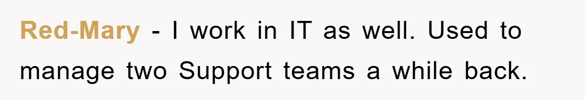 Red-Mary − I work in IT as well. Used to manage two Support teams a while back.
