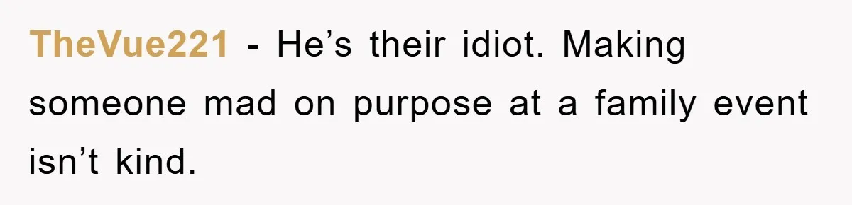 TheVue221 − He’s their idiot. Making someone mad on purpose at a family event isn’t kind.