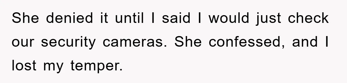 She denied it until I said I would just check our security cameras. She confessed, and I lost my temper.