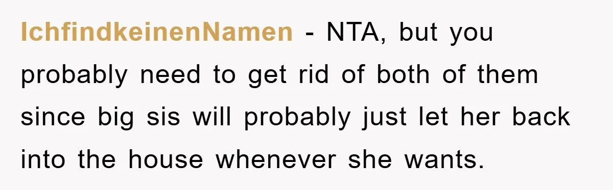 IchfindkeinenNamen − NTA, but you probably need to get rid of both of them since big sis will probably just let her back into the house whenever she wants.
