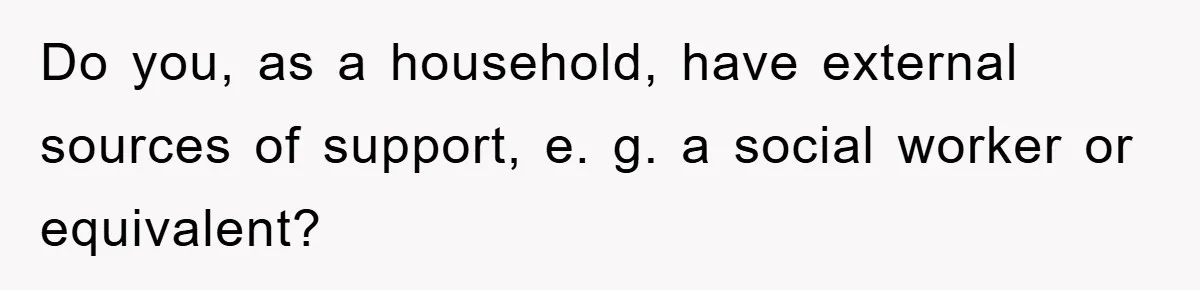 Do you, as a household, have external sources of support, e. g. a social worker or equivalent?