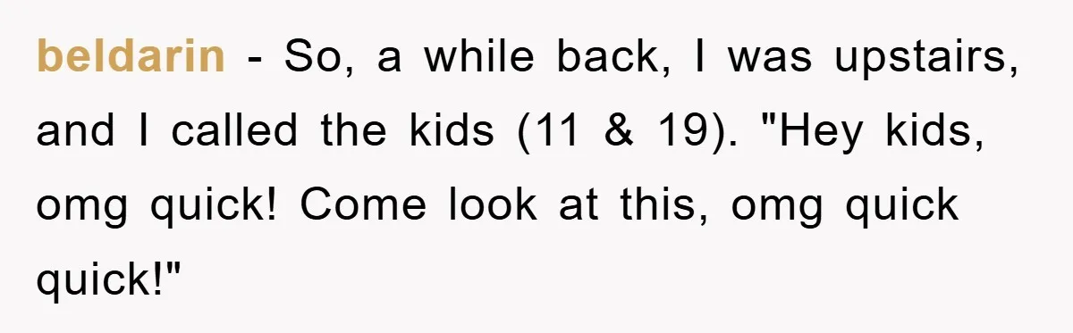 Wife’s Petty Toilet Paper Revenge Becomes A Relationship Masterclass beldarin − So, a while back, I was upstairs, and I called the kids (11 & 19). "Hey kids, omg quick! Come look at this, omg quick quick!"