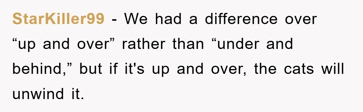 Wife’s Petty Toilet Paper Revenge Becomes A Relationship Masterclass StarKiller99 − We had a difference over “up and over” rather than “under and behind,” but if it's up and over, the cats will unwind it.