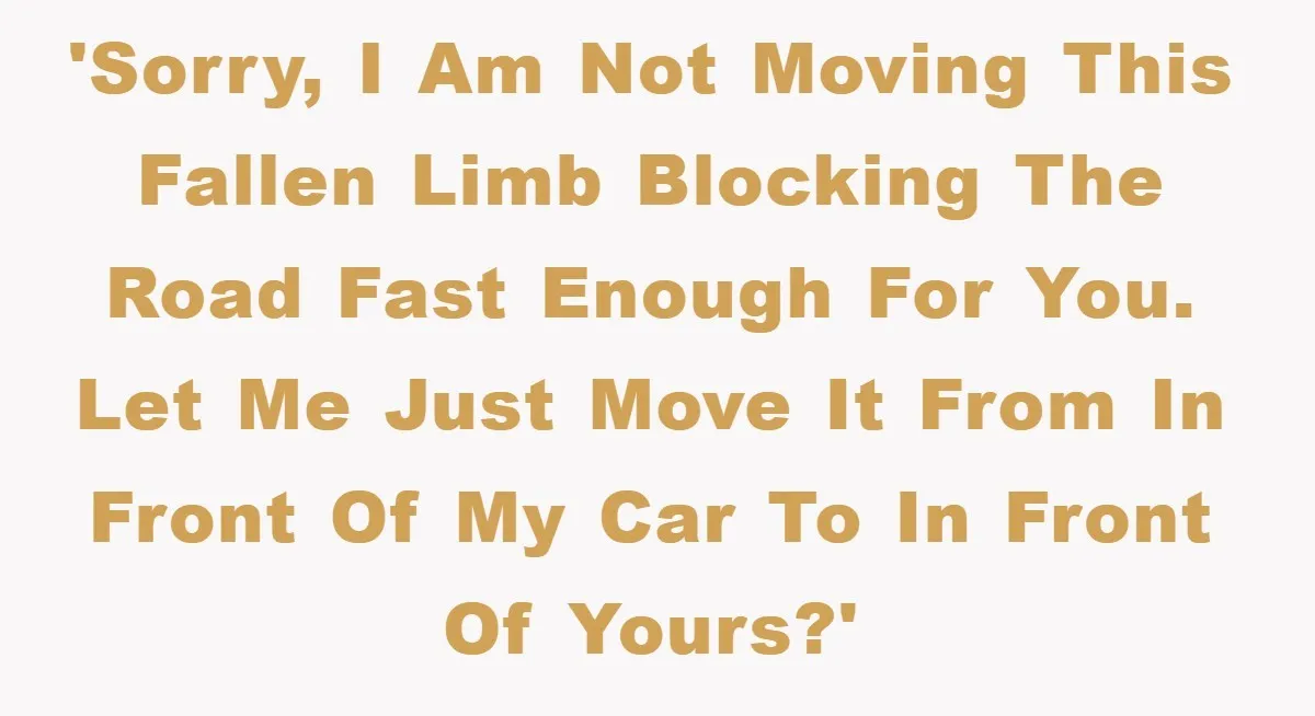 Driver Moves Fallen Tree Limb, And Teaches An Impatient Tailgater A Hilarious Lesson 'Sorry, I am not moving this fallen limb blocking the road fast enough for you. Let me just move it from in front of my car to in front of...