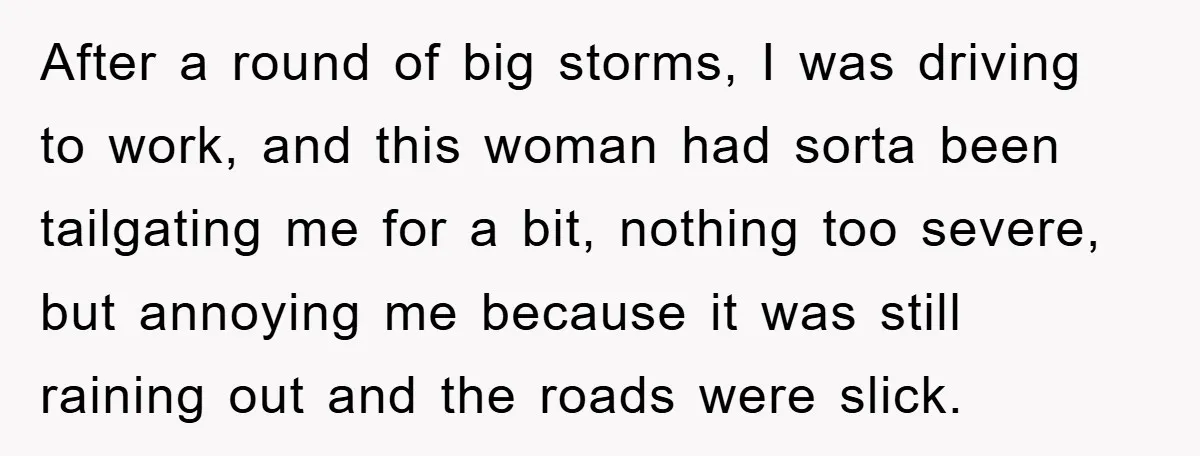 Driver Moves Fallen Tree Limb, And Teaches An Impatient Tailgater A Hilarious Lesson After a round of big storms, I was driving to work, and this woman had sorta been tailgating me for a bit, nothing too severe, but annoying me because it...