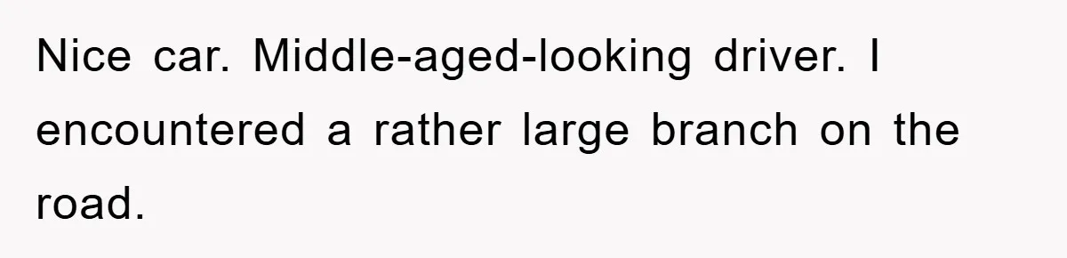Driver Moves Fallen Tree Limb, And Teaches An Impatient Tailgater A Hilarious Lesson Nice car. Middle-aged-looking driver. I encountered a rather large branch on the road.