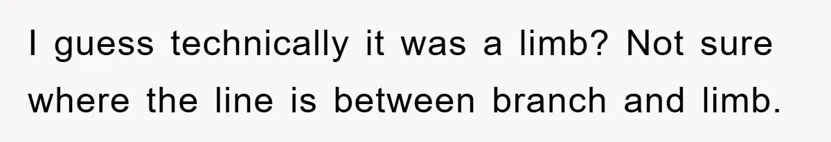 Driver Moves Fallen Tree Limb, And Teaches An Impatient Tailgater A Hilarious Lesson I guess technically it was a limb? Not sure where the line is between branch and limb.