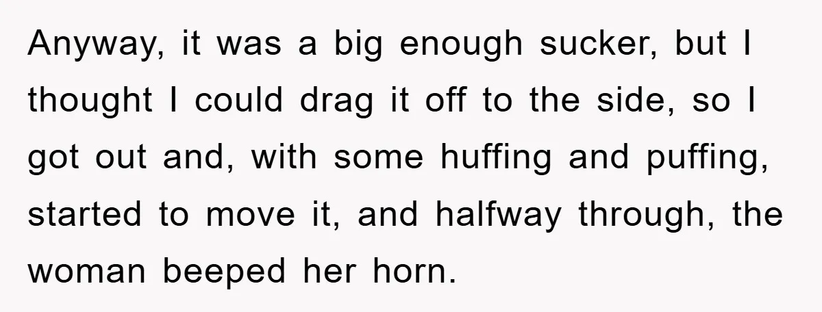 Driver Moves Fallen Tree Limb, And Teaches An Impatient Tailgater A Hilarious Lesson Anyway, it was a big enough sucker, but I thought I could drag it off to the side, so I got out and, with some huffing and puffing, started to...