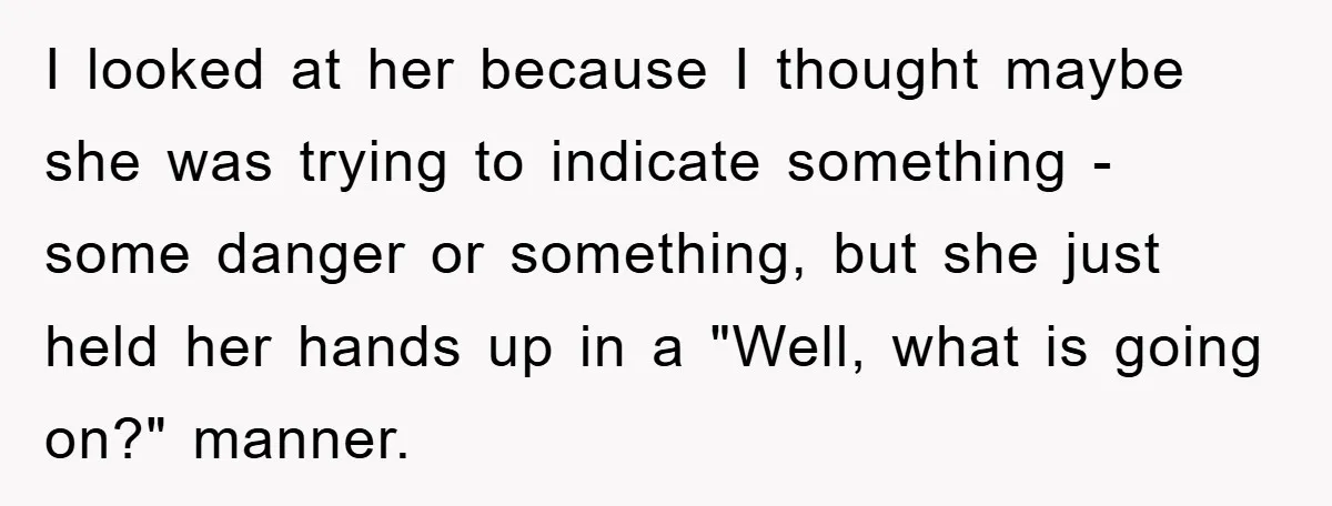 Driver Moves Fallen Tree Limb, And Teaches An Impatient Tailgater A Hilarious Lesson I looked at her because I thought maybe she was trying to indicate something - some danger or something, but she just held her hands up in a "Well, what...